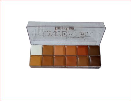 12 Colours Full Cover Cream Concealer